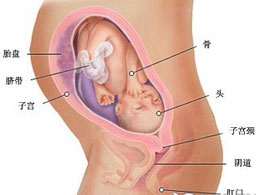 【怀孕29周】怀孕29周胎儿发育情况_怀孕29周注意事项