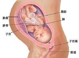 【怀孕34周】怀孕34周胎儿发育情况_怀孕34周羊水指数多少正常