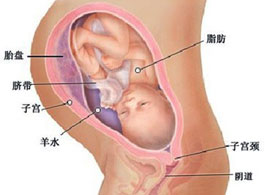 【怀孕35周】怀孕35周胎儿发育情况_怀孕35周注意事项