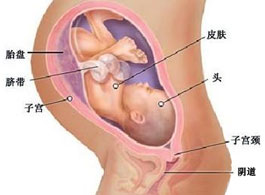 【怀孕36周】怀孕36周胎儿发育情况_怀孕36周注意事项