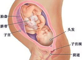 【怀孕37周】怀孕37周胎儿发育情况_怀孕37周注意事项