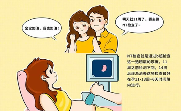 孕11-13周做nt小孩不配合怎么办是女孩还是男孩(孕期做NT检查时间)