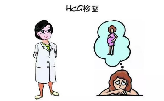 hcg看男女5周最准吗(怎么从hcg看生男生女)