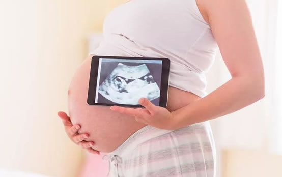 怀孕1-10月肚子变化图文解读胎儿发育全过程