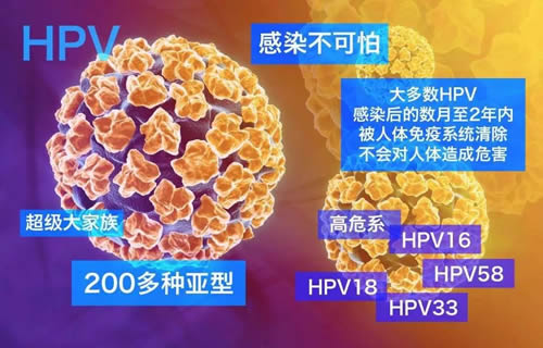 医院hpv检查尴尬吗(hpv检查过程及注意事项)