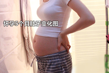 怀孕5个月上怀和下怀对照图(怎么判断自己是上怀还是下怀)