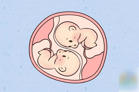 想生双胞胎促排卵方法有哪些(增加怀双胞胎几率的因素有哪些)