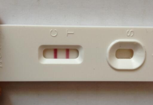真实清晰验孕棒图片怀孕图片和没怀孕图片(验孕棒正确用法及观测原理)