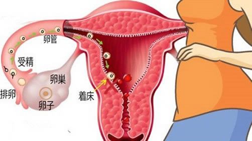 受精卵着床成功后出血图片(受精卵着床成功12个症状)