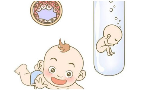 试管婴儿费用大概要多少钱(供卵试管的费用组成)