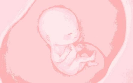 孕妇二个月肚子有多大(怀孕2个月的症状和表现)