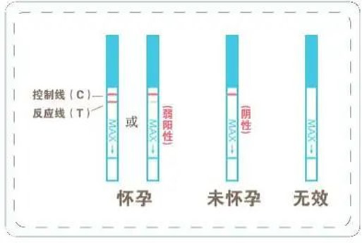 备孕期间怎样提高早孕试纸的准确率(早孕试纸的准确率是多少)