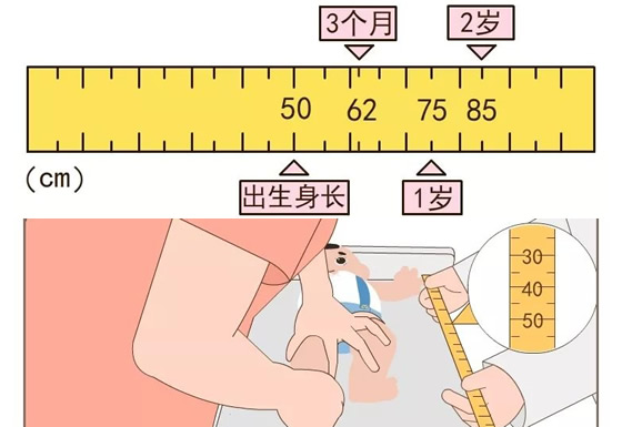 婴幼儿0-3岁生长发育对照表(身高体重标准图标)