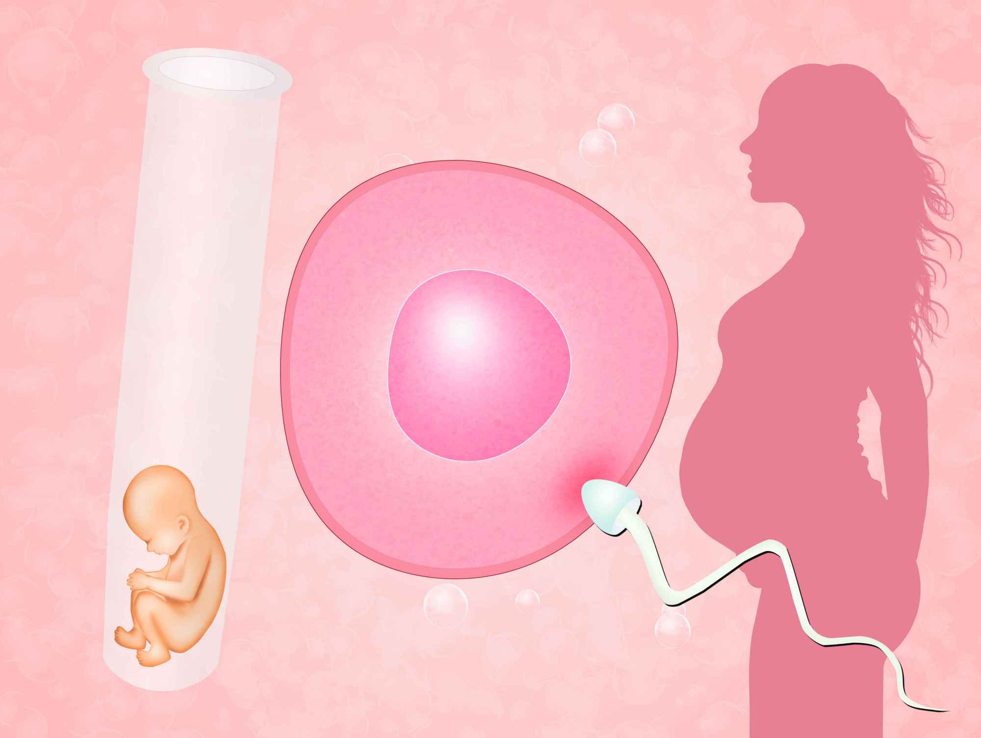怀孕最早的信号有哪些表现(自测早孕的方法)