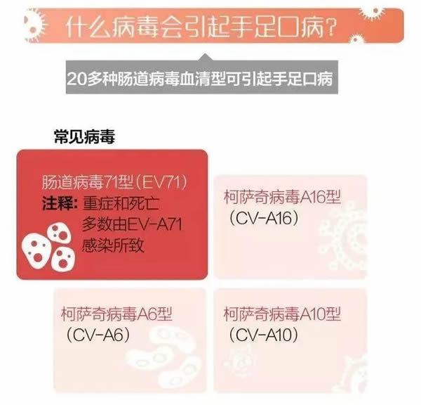 一张图读懂手足口病,园所、家长必读!