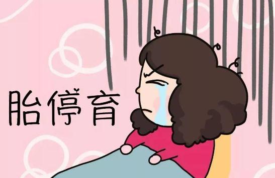 什么样的女人容易胎停(怀孕如何预防胎停)