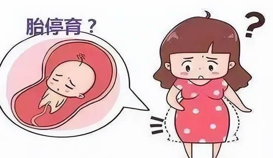胚胎停育都是什么原因造成的(胎停后多久可以再次怀孕)