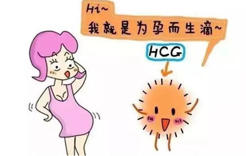 整个孕期hcg变化曲线图(正常妊娠hcg和孕酮的参考图)