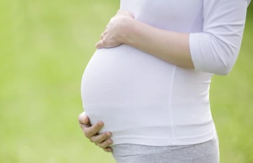 备孕三胎女性吃什么有利于受孕(如何调理身体备孕三胎)