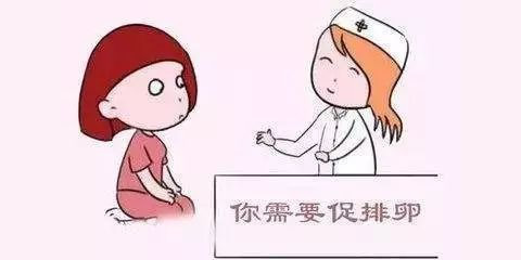 女性第一次促排怀孕的成功率高吗(促排要做好哪些准备)