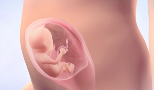 怀孕1到3个月要注意什么(怀孕1-3月孕肚变化图)