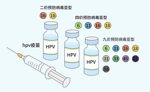 女性hpv疫苗有必要打吗(hpv疫苗知识解读)