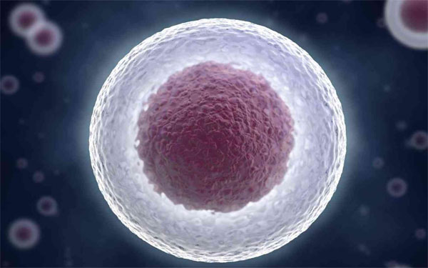 促排卵成功怀孕征兆(促排卵成功怀孕经验)
