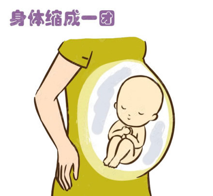 孕期胎动一跳一跳是男孩还是女孩呢(一组宝宝胎动示意图)