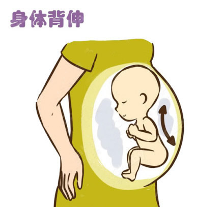 孕期胎动一跳一跳是男孩还是女孩呢(一组宝宝胎动示意图)