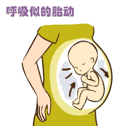 孕期胎动一跳一跳是男孩还是女孩呢(一组宝宝胎动示意图)