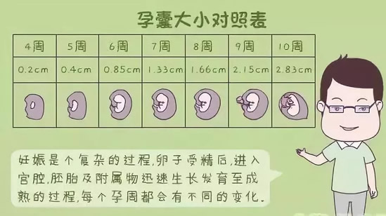孕囊大小对照表看男女(孕囊形状看男女超准的方法)