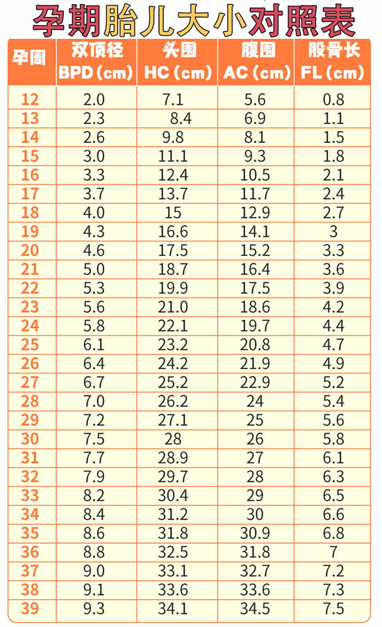 怀孕1-40月胎儿发育标准对照图表(孕妈如何控制胎儿过大呢)