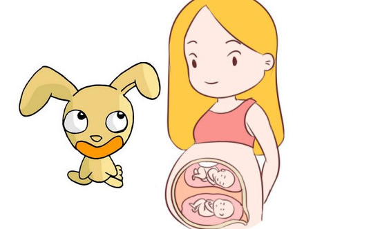2023生兔宝宝如何科学备孕(生兔备孕时间及怀孕清宫表)