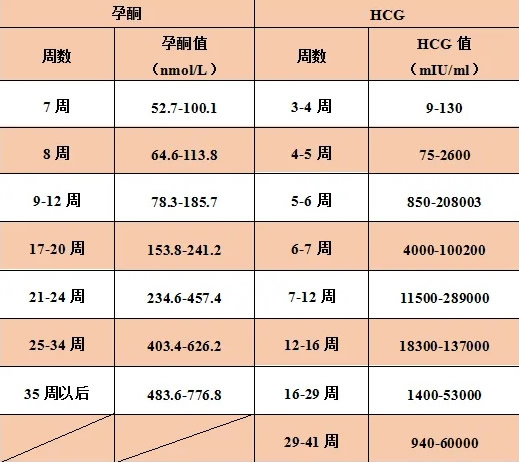 怀孕孕酮和hcg参考值(孕酮和hcg什么关系)