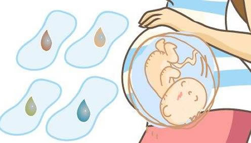 女性初期怀孕会白带增多吗(怀孕的初期症状白带的变化)