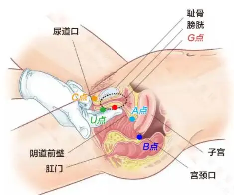 怎么变得很会夹,怎么让自己变紧一点