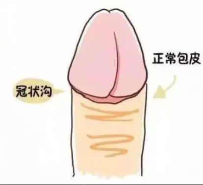 女的会摇是怎么学的,会摇到底要怎么摇才对？