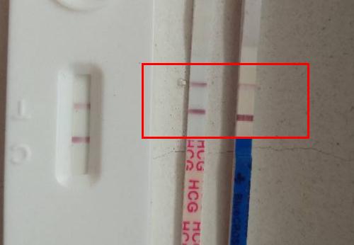 验孕纸上一深一浅是女孩吗(验孕纸测男女)