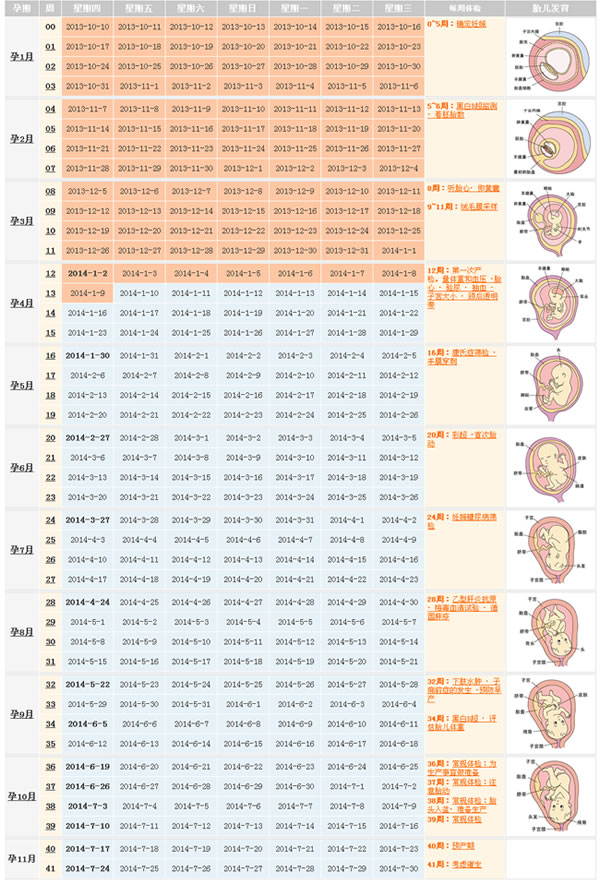 怀孕周期图片大小一览表(怀孕周期怎么算)