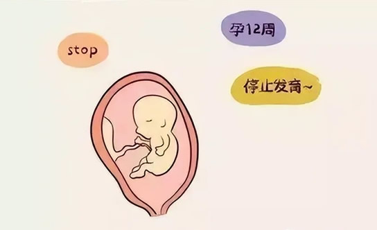 胎停育比较明显的信号有哪些(胚胎停育原因都有哪些)