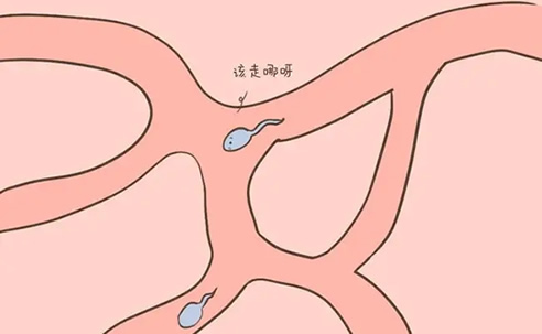 备孕夫妻同房后判断精子进入输卵管的方法(过来女性经验分享)