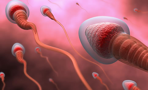 备孕夫妻同房后判断精子进入输卵管的方法(过来女性经验分享)