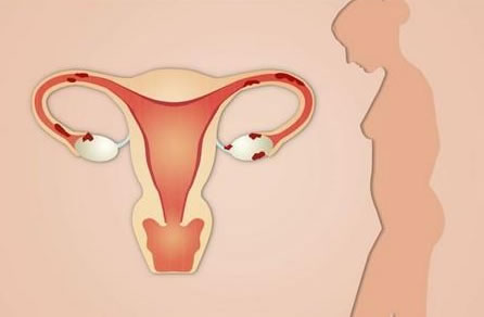 排卵期的八个征兆是什么(什么时候最容易受孕)