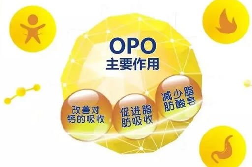 什么是OPO(奶粉品牌排行榜7强)