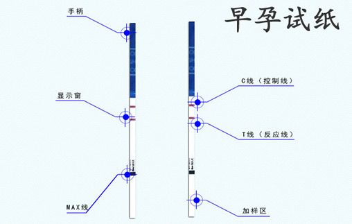 早孕试纸哪个牌子最早最准确(正确使用方法)