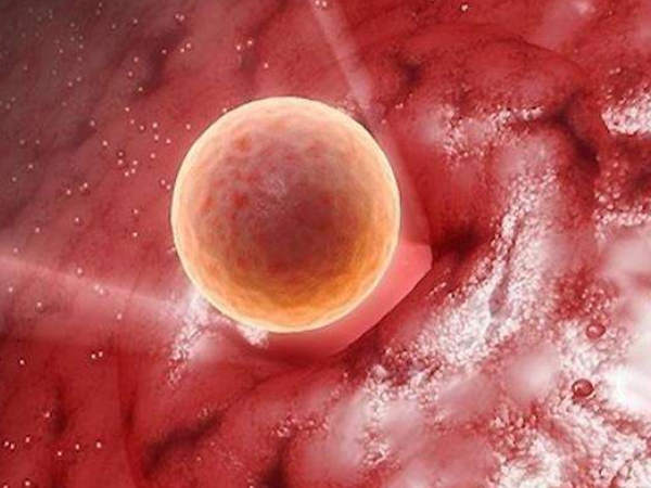 胚胎着床初期细微的表现(着床初期会不会有分泌物)