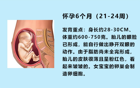 怀孕1-9个月胎儿变化图(发育过程)