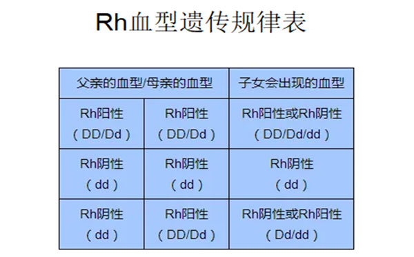 熊猫血型是什么型号(遗传规律表及坏处)