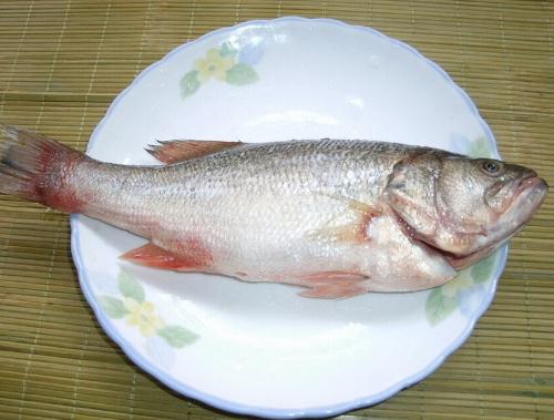 适合小孩吃的鱼 推荐10种少刺柔嫩又营养丰富的鱼