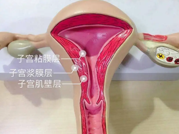 子宫内膜2.6mm影不影响怀孕？
